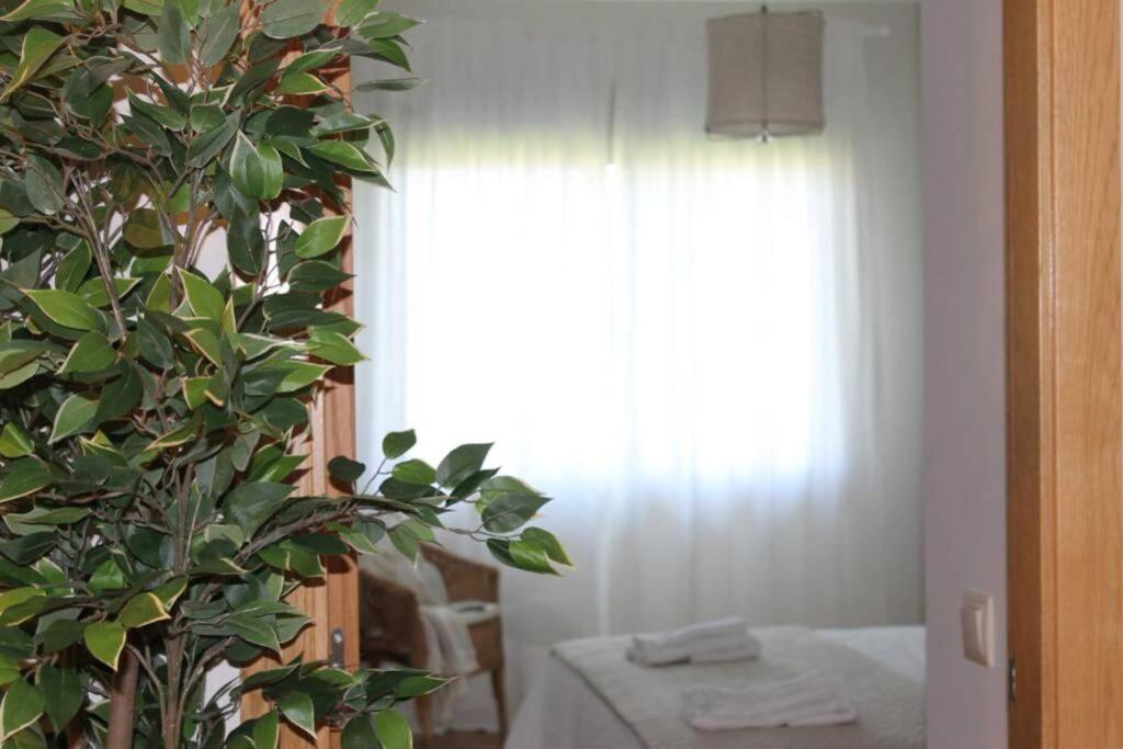 Apartamento Riomar Ribadumia Kültér fotó